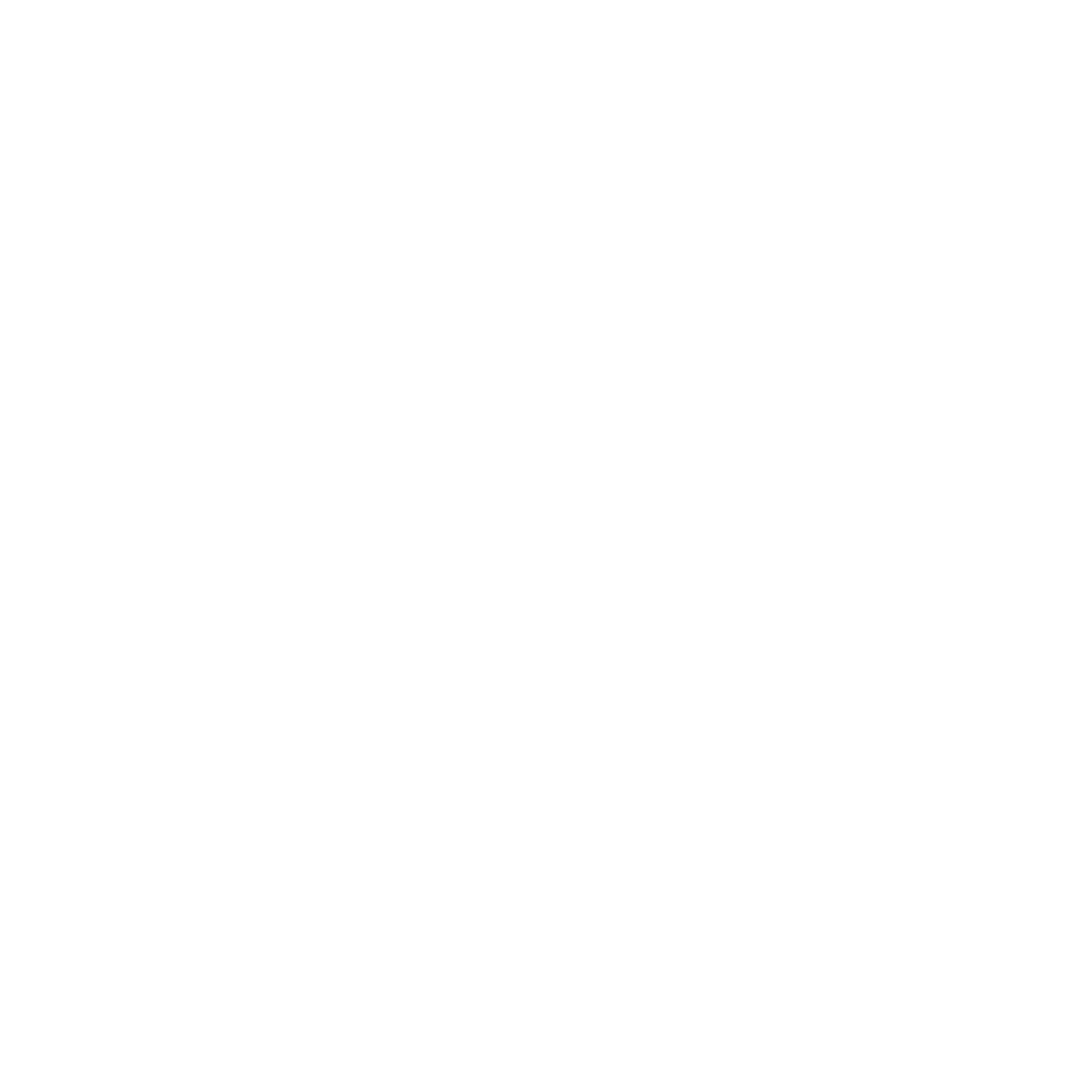 SEI São João de Meriti - Rumo a uma nova história